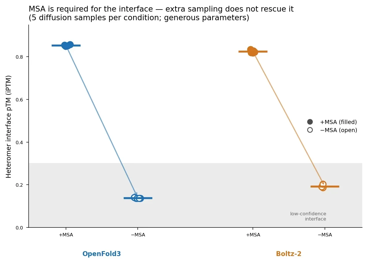 A dot plot of interface pTM. For each model, the with-MSA points lie near 0.85 and the without-MSA points near 0.15, within a shaded low-confidence band, with an arrow indicating the drop.
