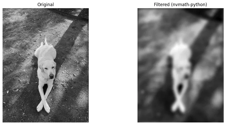 Alt text: A sharp, grayscale, overhead photo of a light-colored dog sitting on pavement with its front paws elegantly crossed, casting a dark shadow. Then, the same photo of the dog now heavily blurr
